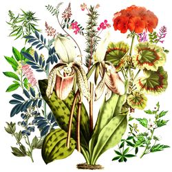 øjeRum - Skaelver Fuglenes Vinger